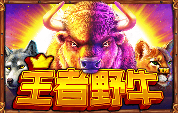 云琛保